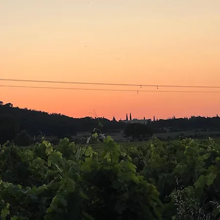 De Rose Sous Les Etoiles Pont-Saint-Esprit
